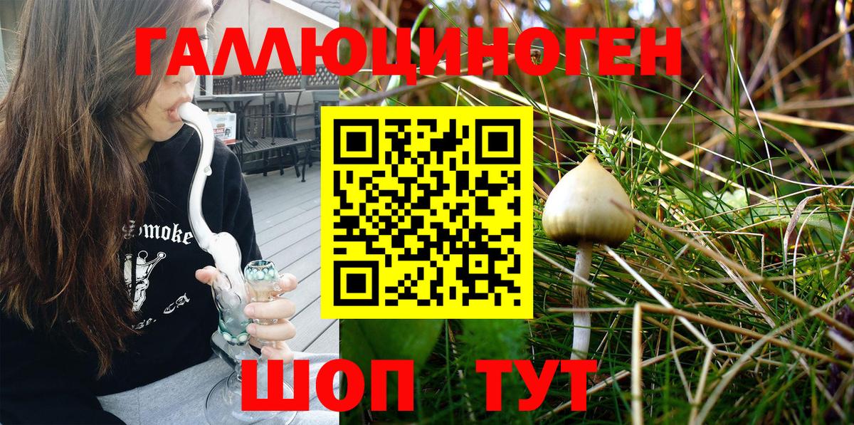 Урюпинск  Псилоцибиновые грибы Magic Shrooms  Вход с VPN  Галлюциногенные грибы прущие грибы 